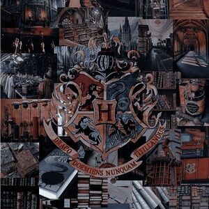 Meet your Posher, Mattie